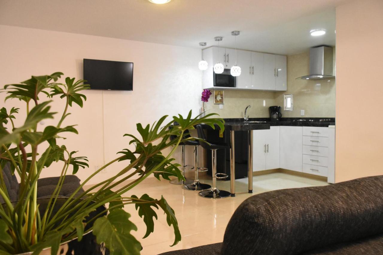 Departamento Alejandro - Completo Y Amplio Departamento En Una Zona Muy Tranquila De La Cdmx メキシコシティ エクステリア 写真