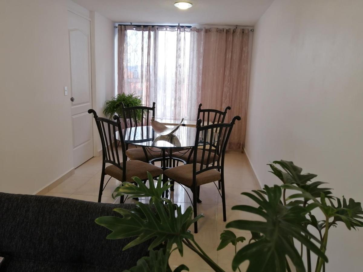 Departamento Alejandro - Completo Y Amplio Departamento En Una Zona Muy Tranquila De La Cdmx メキシコシティ エクステリア 写真
